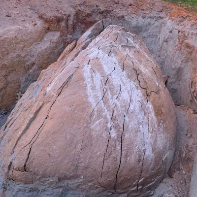 Whatsapp Image 2021 11 17 At 9.17.34 Am 10 11zon